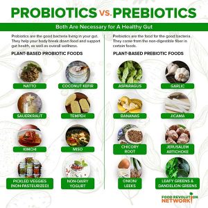 A list of both probiotics and prebiotics.