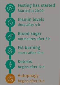 An intermittent fasting schedule shows the timeline.